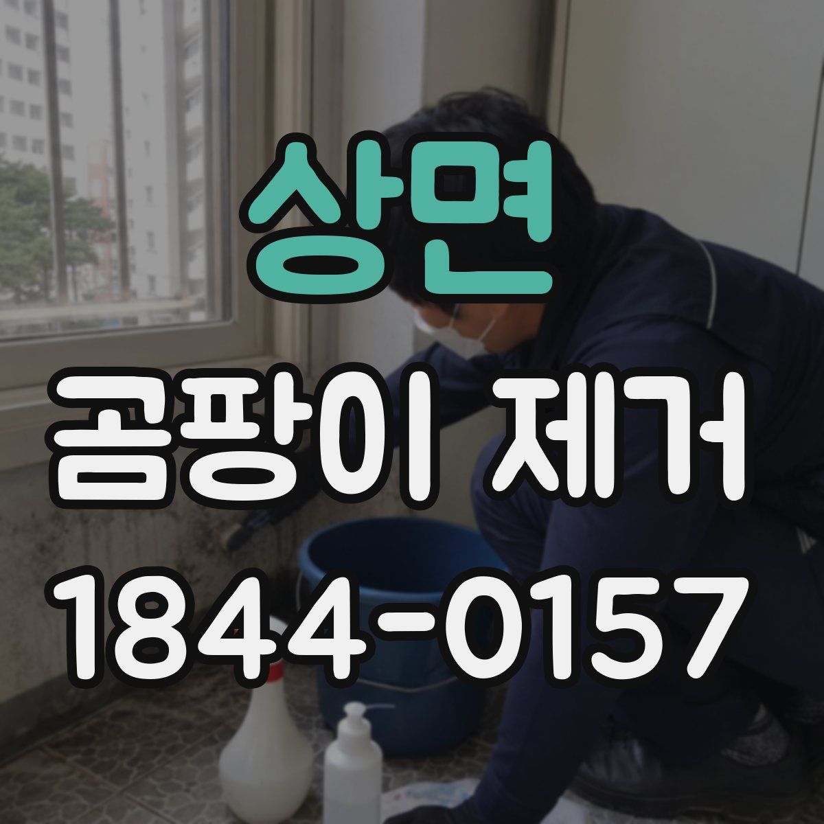 상면 곰팡이 제거