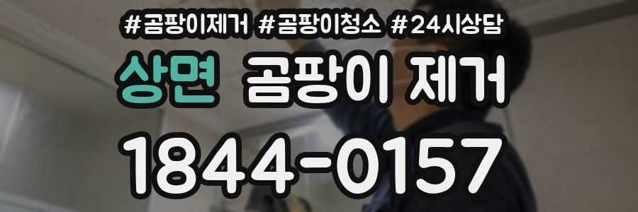 상면 곰팡이 제거