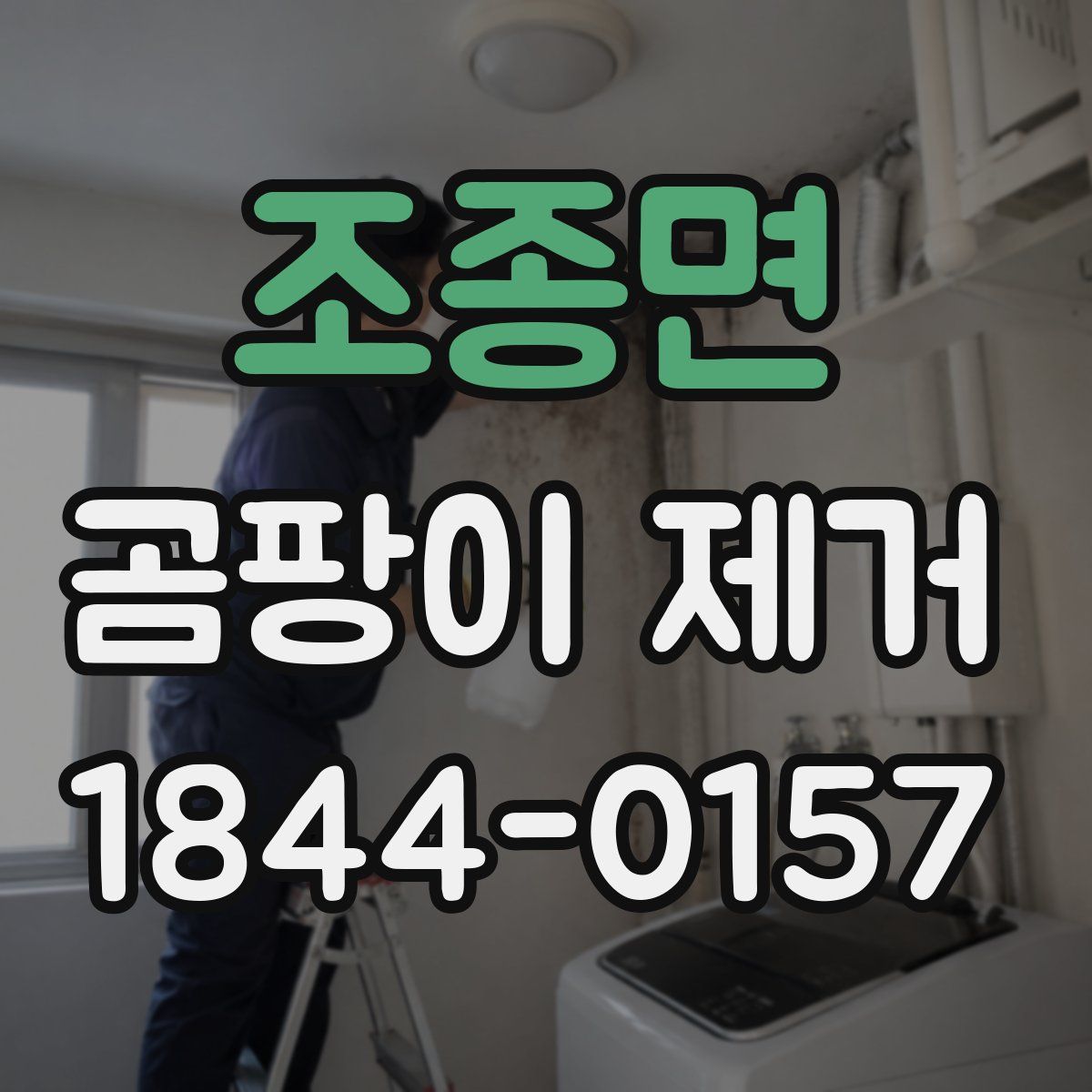 조종면 곰팡이 제거