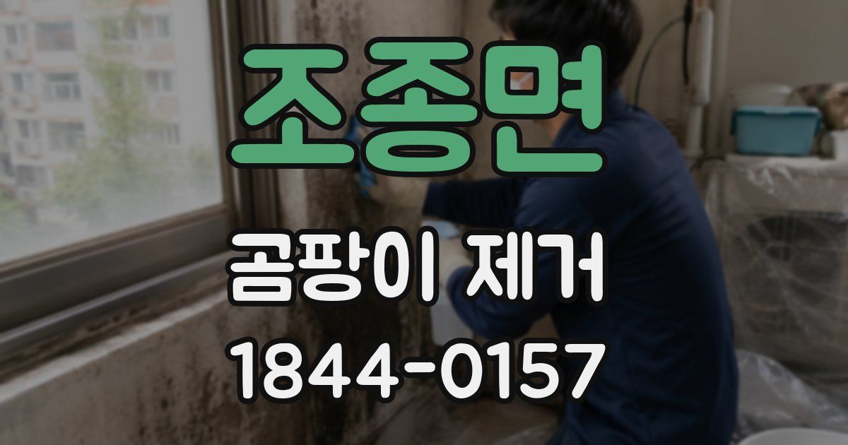 조종면 곰팡이 제거