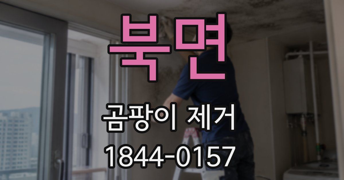북면 곰팡이 제거
