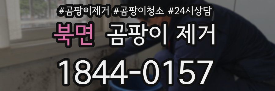 북면 곰팡이 제거