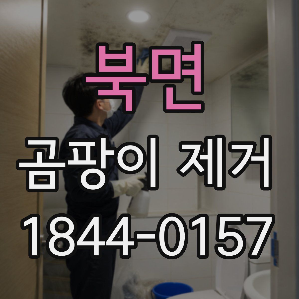 북면 곰팡이 제거