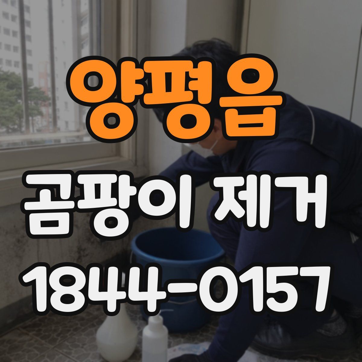 양평읍 곰팡이 제거