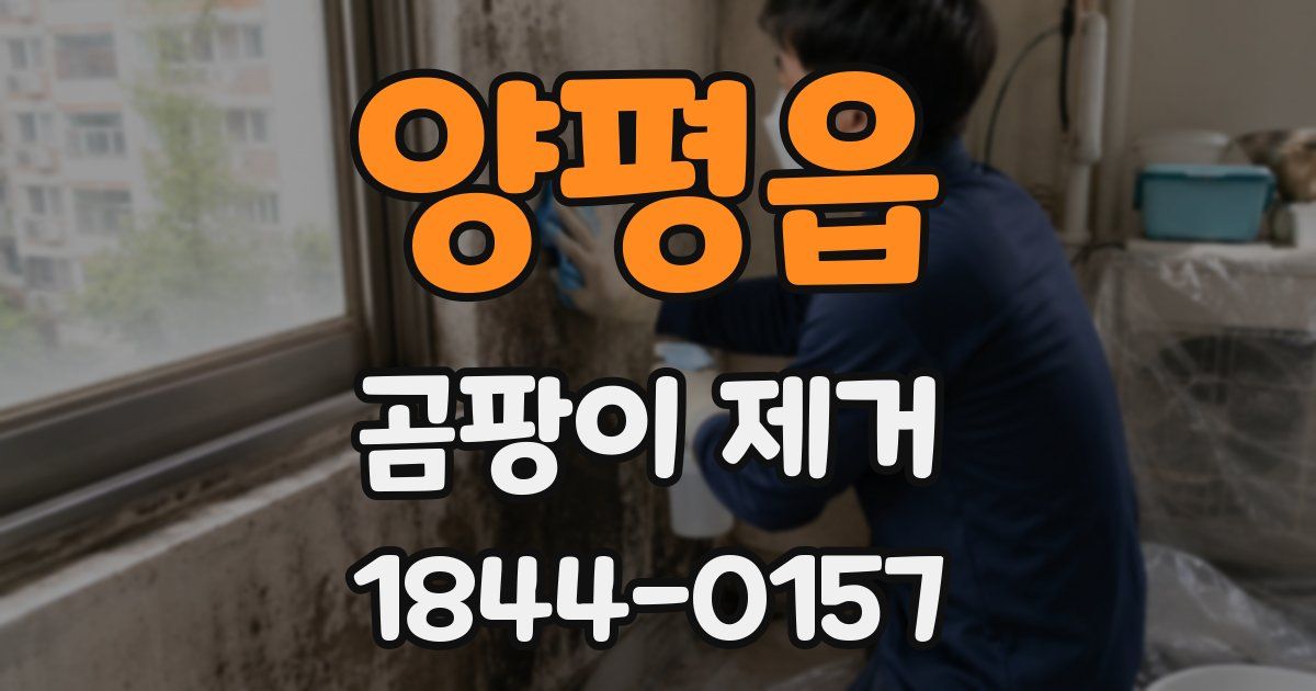 양평읍 곰팡이 제거
