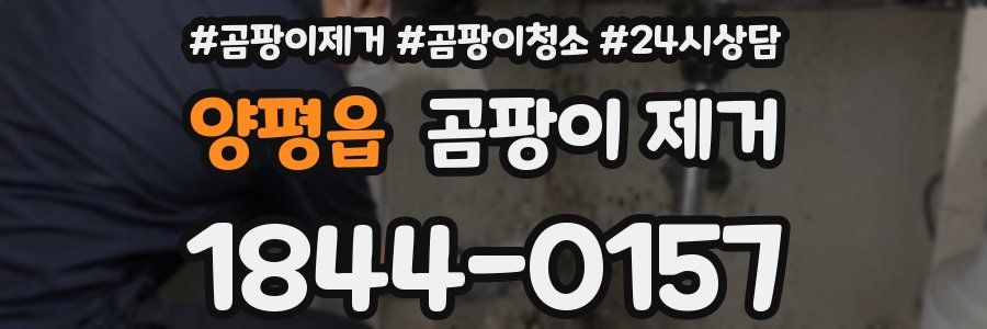 양평읍 곰팡이 제거