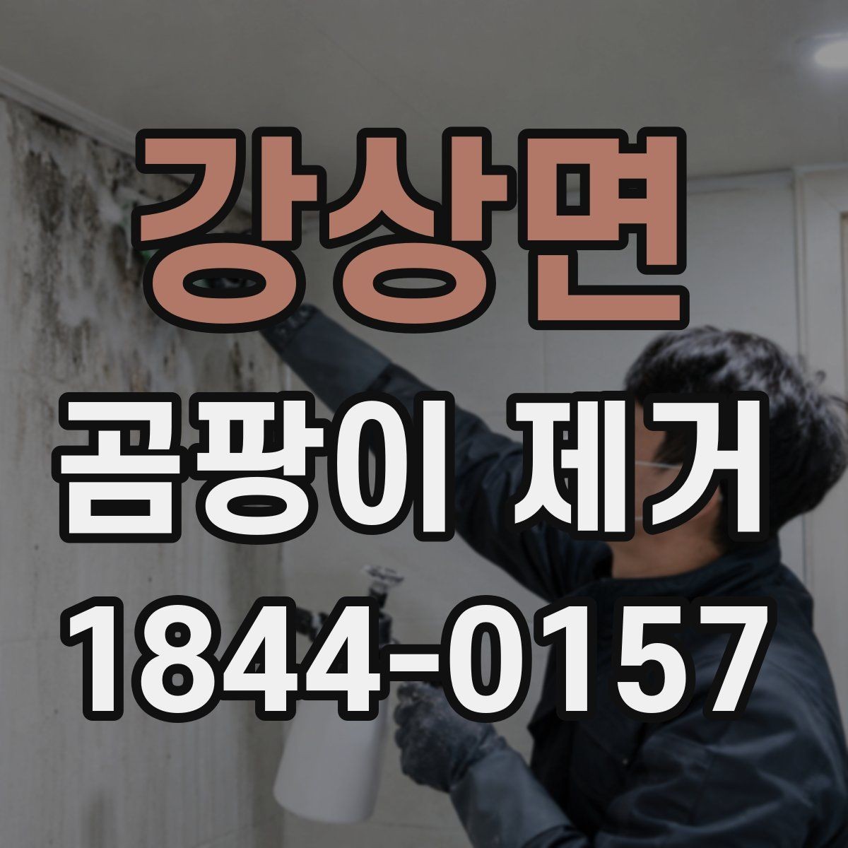 강상면 곰팡이 제거 습기 키우는 생활 습관부터 바꾸기