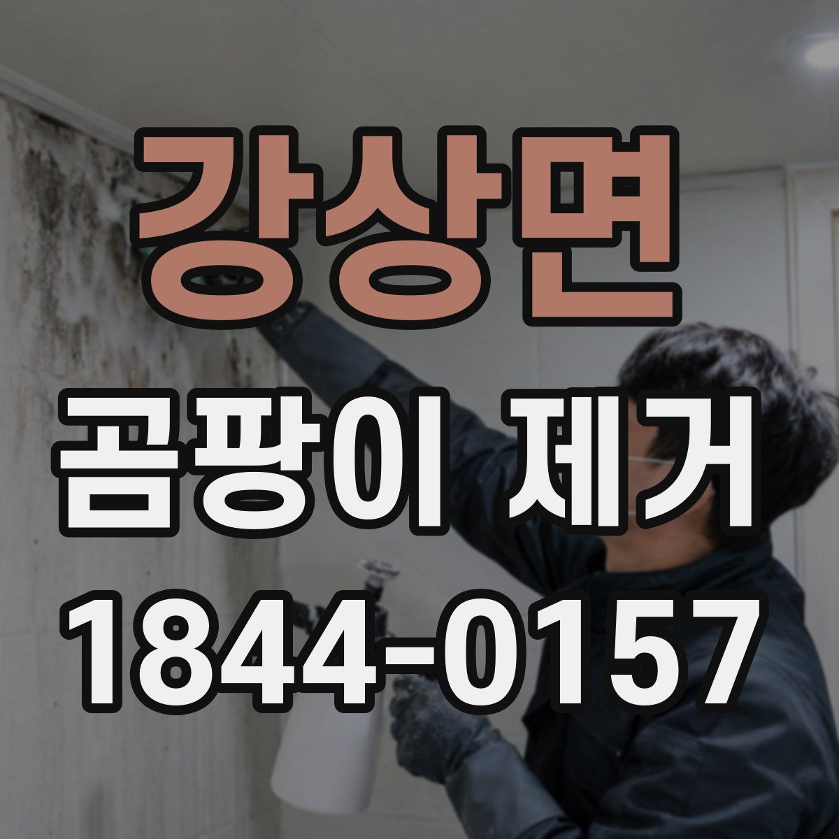 강상면 곰팡이 제거
