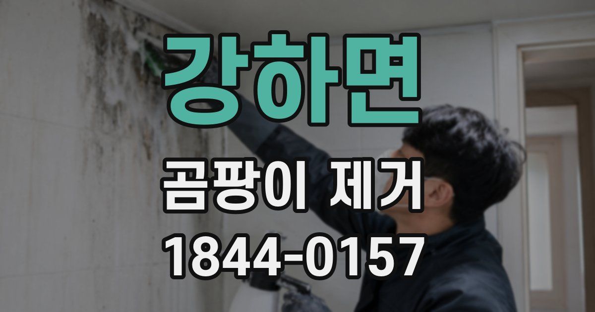 강하면 곰팡이 제거