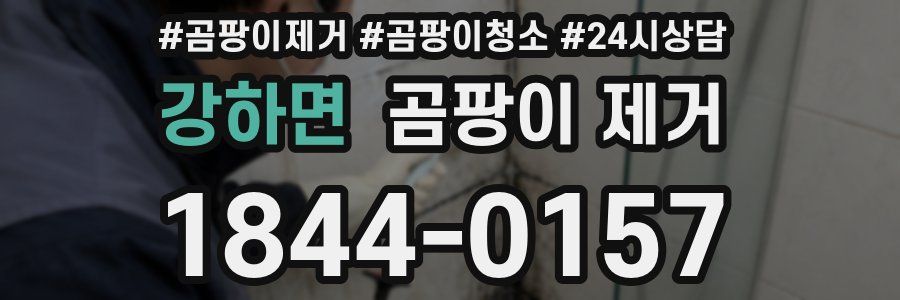 강하면 곰팡이 제거