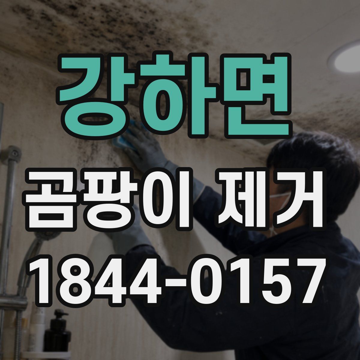 강하면 곰팡이 제거