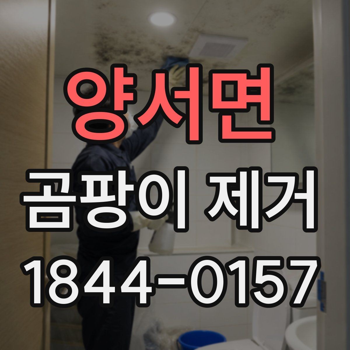양서면 곰팡이 제거 원룸 창가 주변 손상을 줄이는 관리