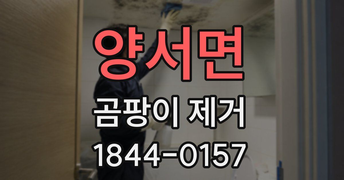 양서면 곰팡이 제거