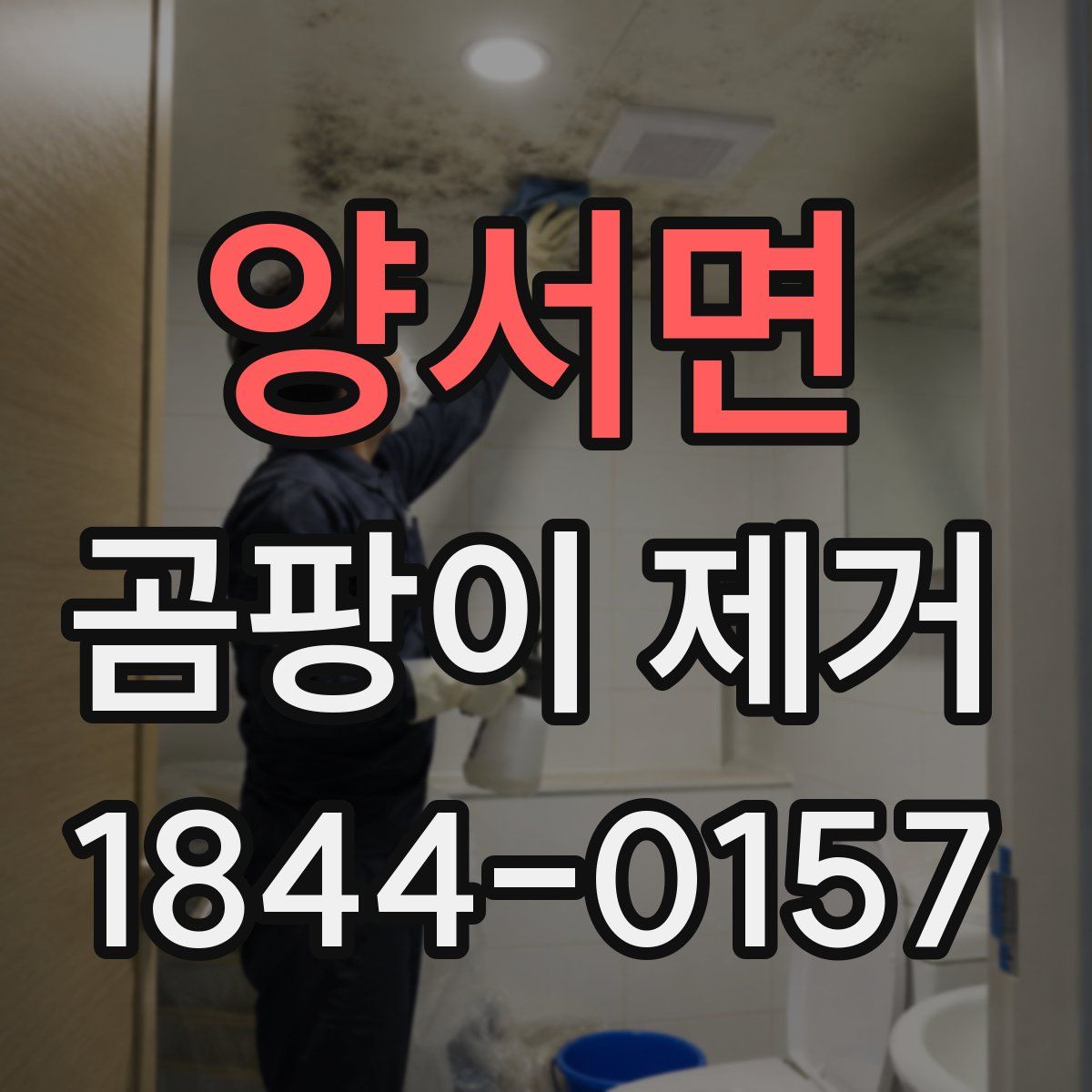 양서면 곰팡이 제거