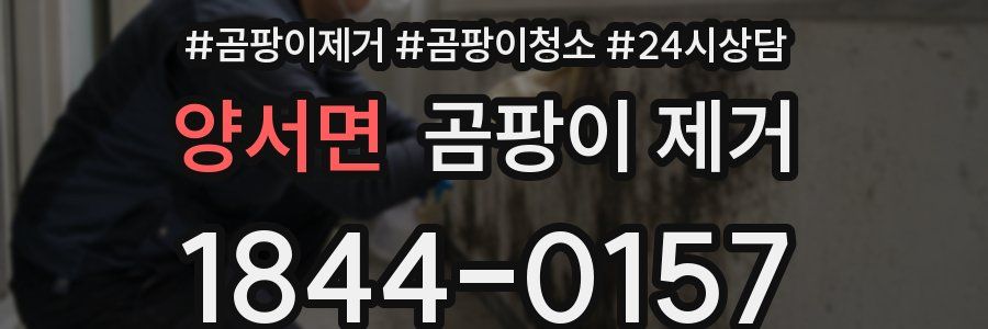 양서면 곰팡이 제거