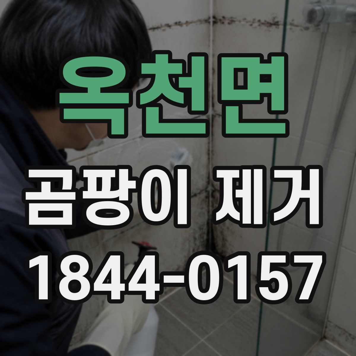 옥천면 곰팡이 제거