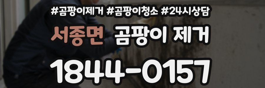 서종면 곰팡이 제거