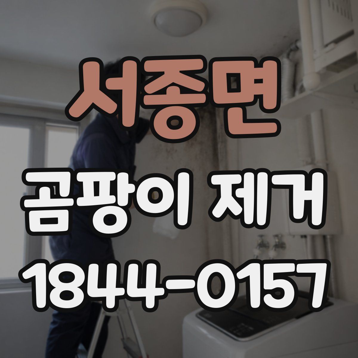 서종면 곰팡이 제거