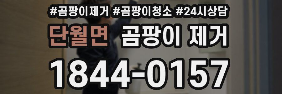 단월면 곰팡이 제거
