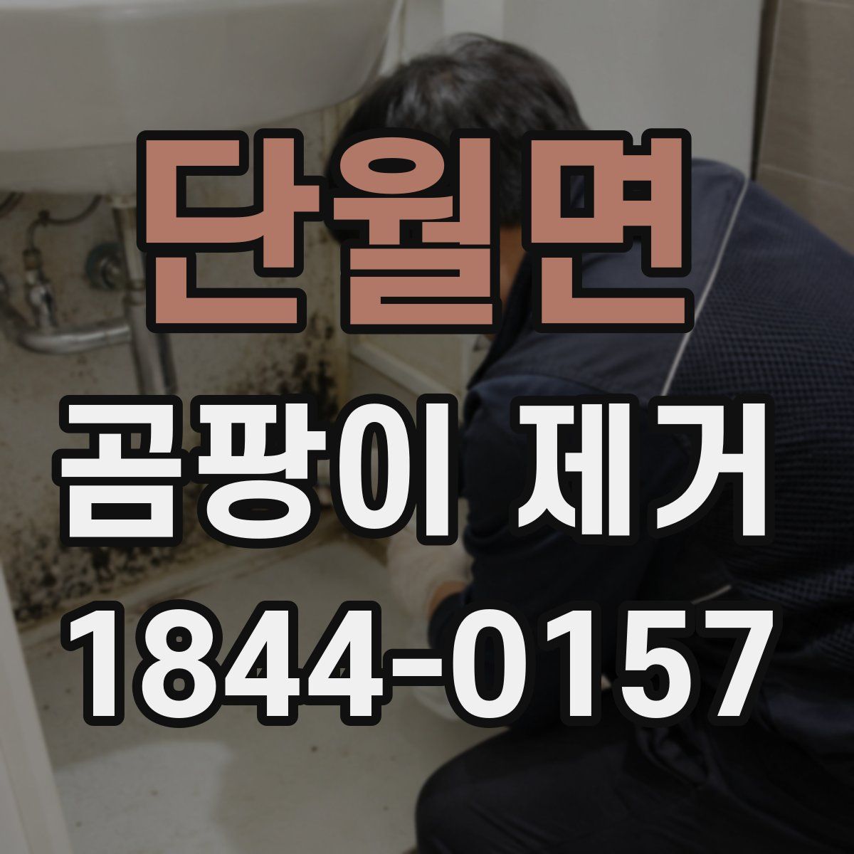 단월면 곰팡이 제거