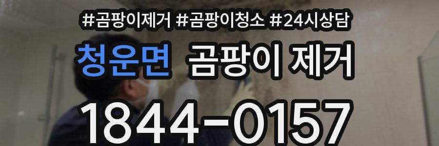청운면 곰팡이 제거