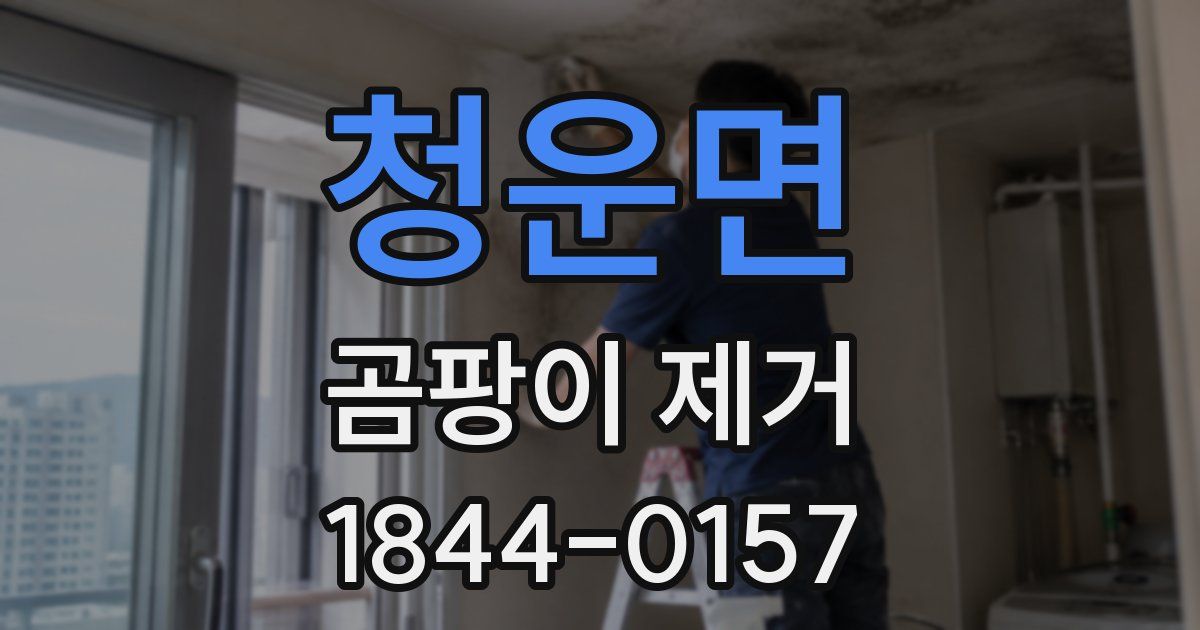 청운면 곰팡이 제거