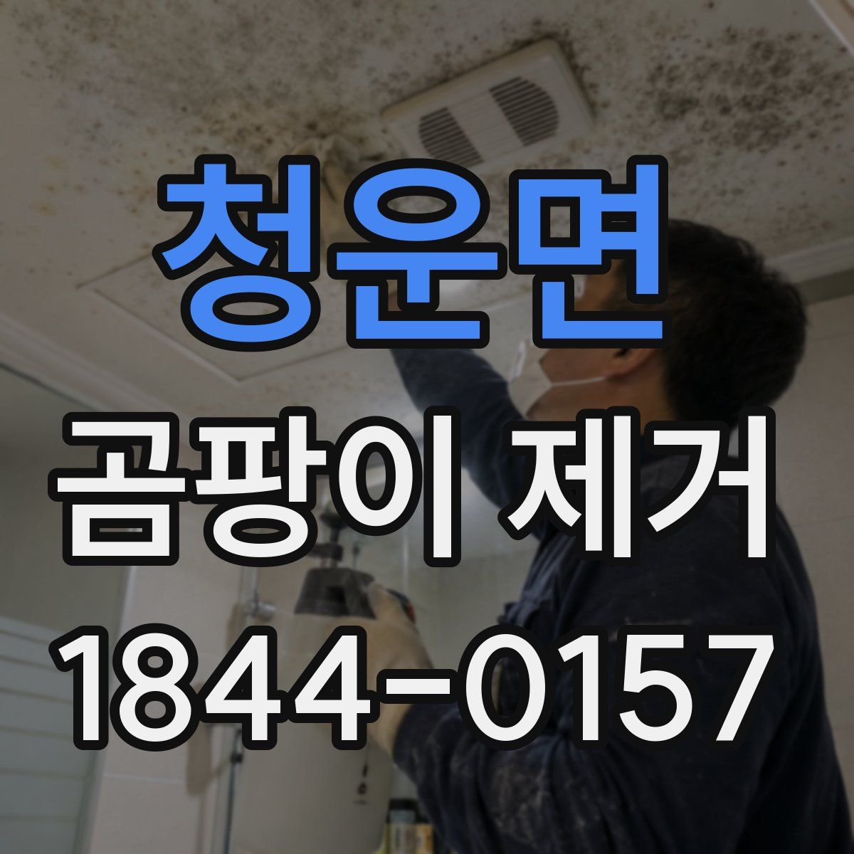 청운면 곰팡이 제거