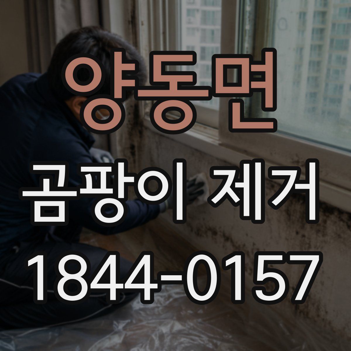 양동면 곰팡이 제거