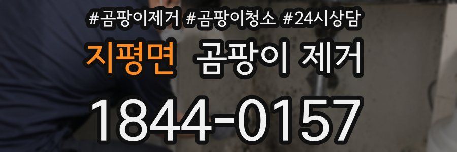 지평면 곰팡이 제거