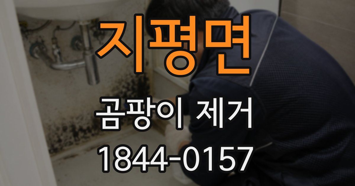 지평면 곰팡이 제거