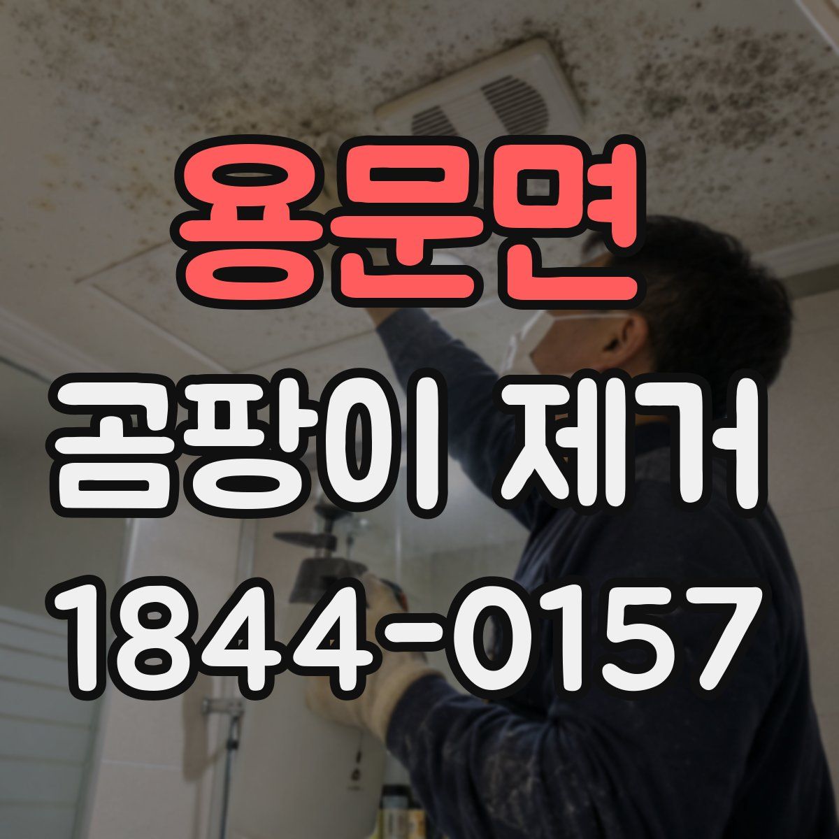 용문면 곰팡이 제거