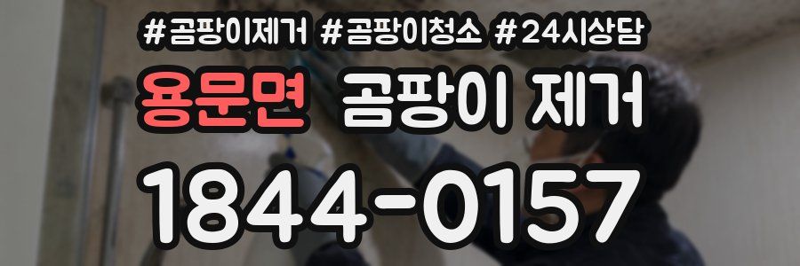 용문면 곰팡이 제거