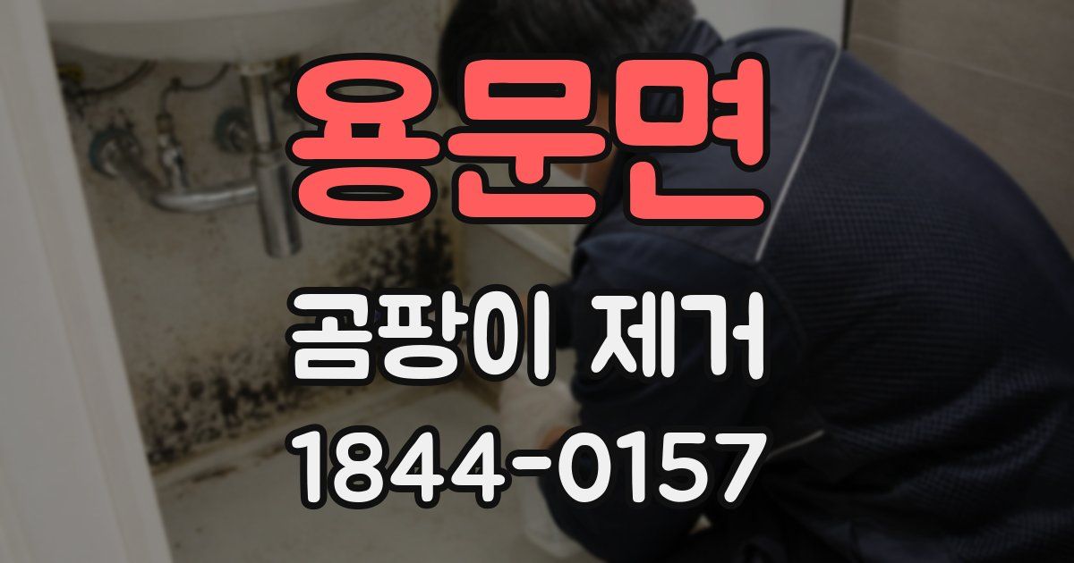용문면 곰팡이 제거