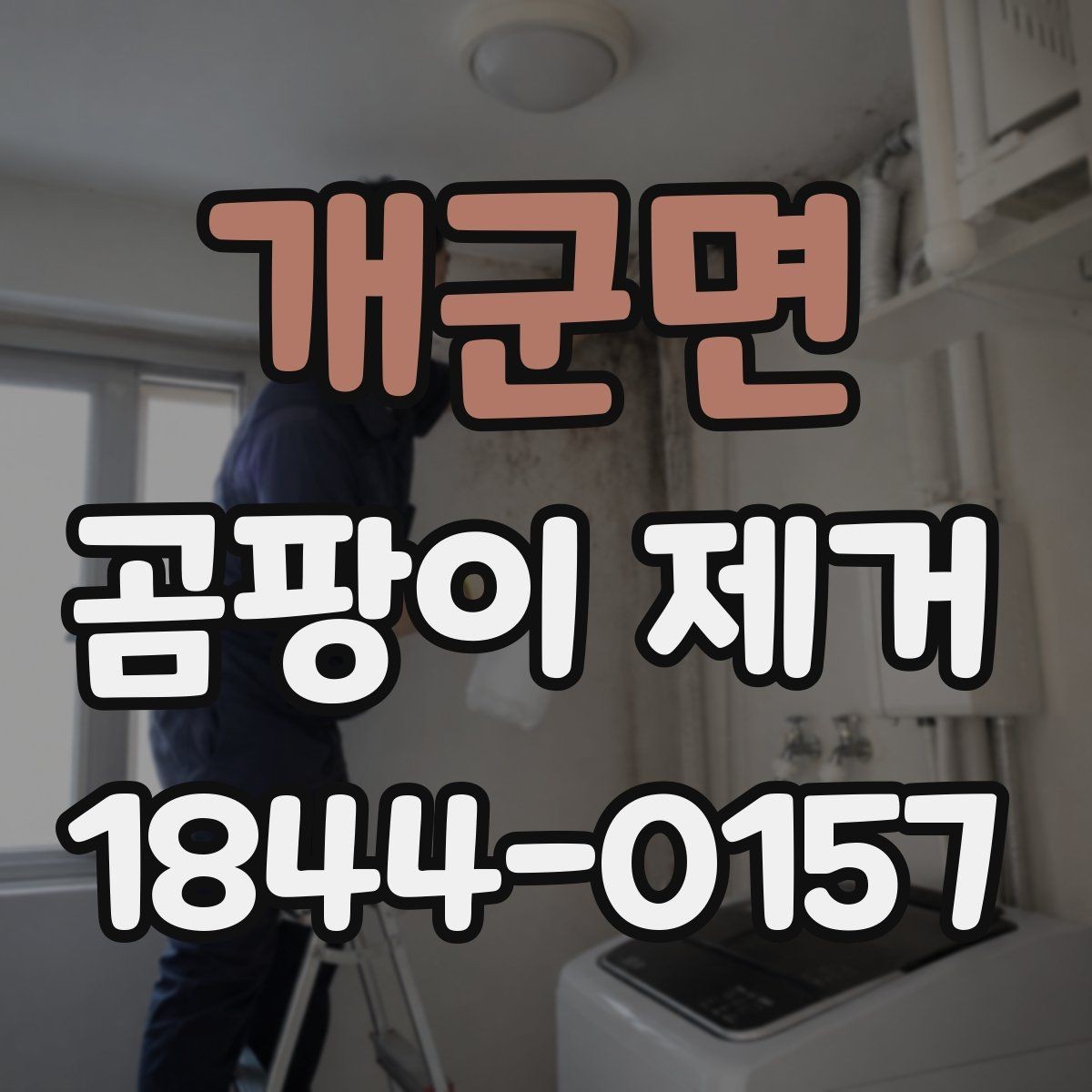 개군면 곰팡이 제거 오피스텔 좁은 공간 환기 동선 정리
