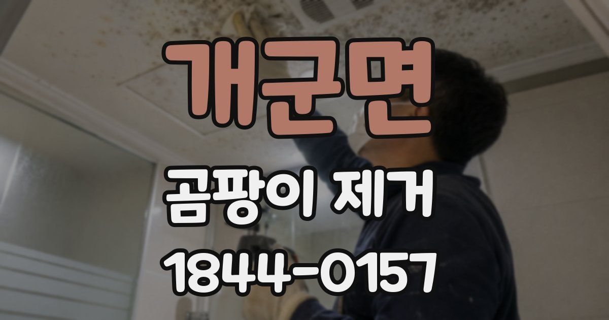 개군면 곰팡이 제거
