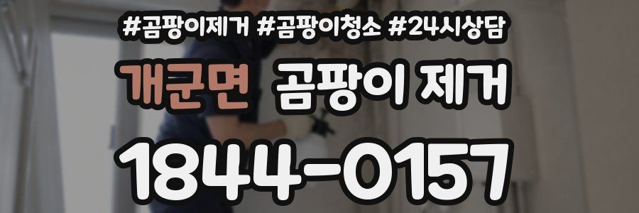 개군면 곰팡이 제거