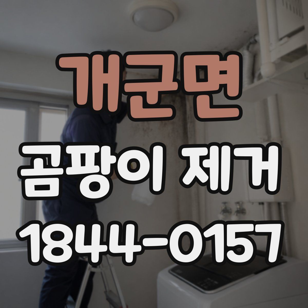 개군면 곰팡이 제거