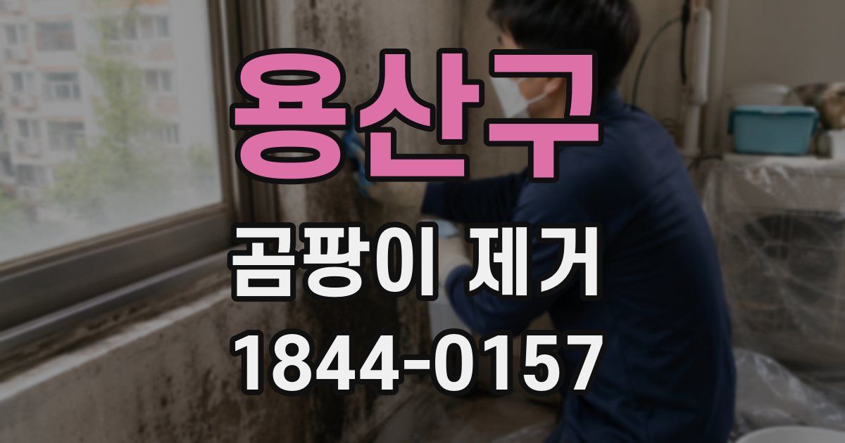 용산구 곰팡이 제거