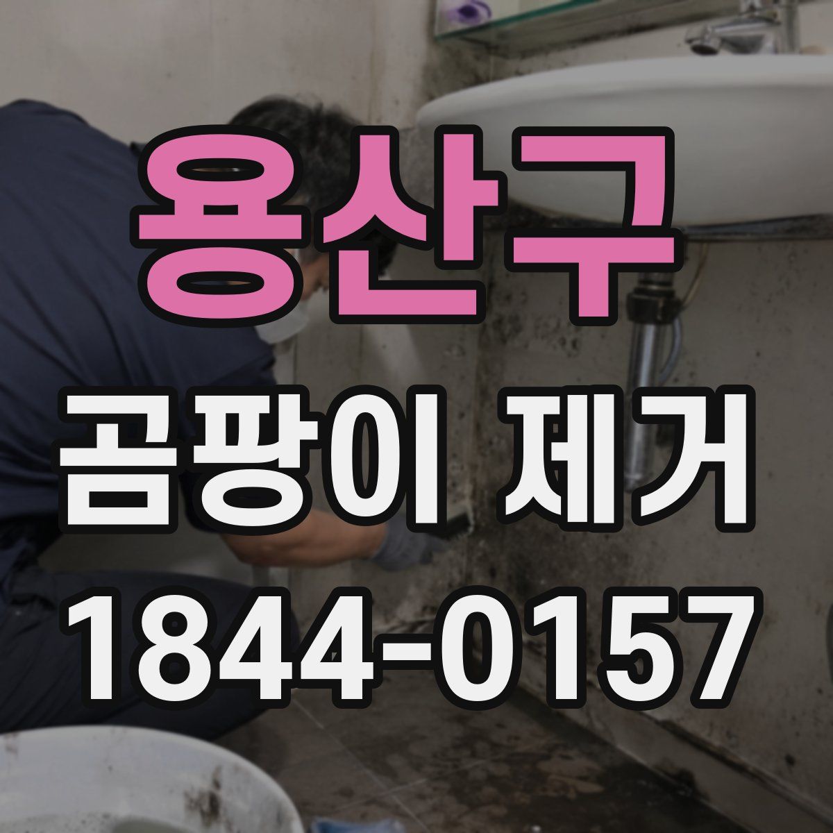 용산구 곰팡이 제거