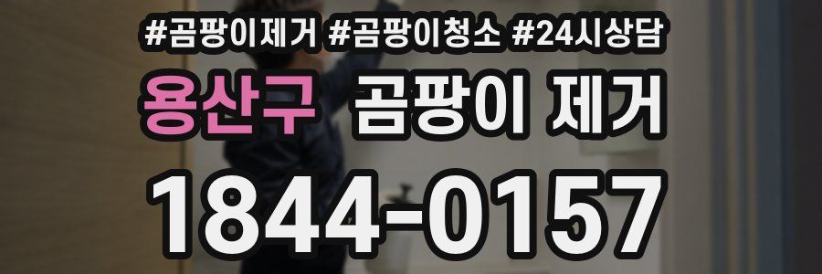 용산구 곰팡이 제거