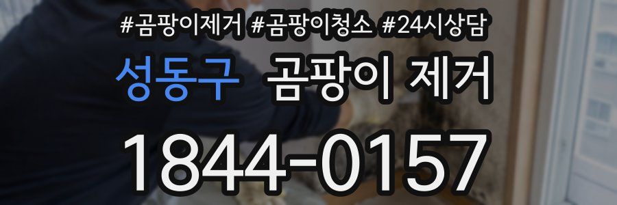 성동구 곰팡이 제거