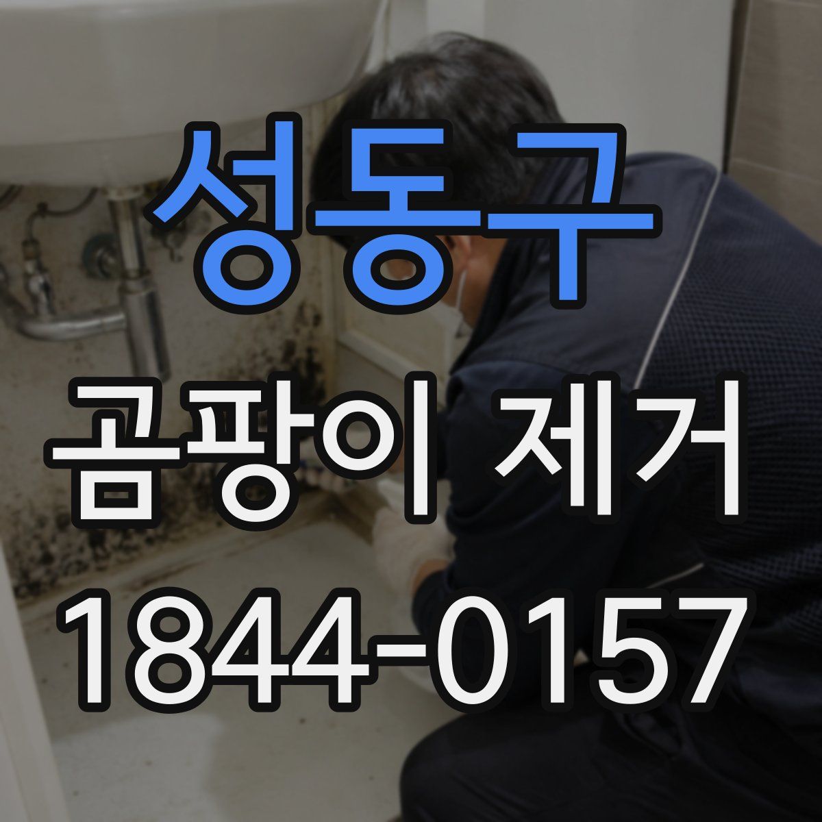 성동구 곰팡이 제거