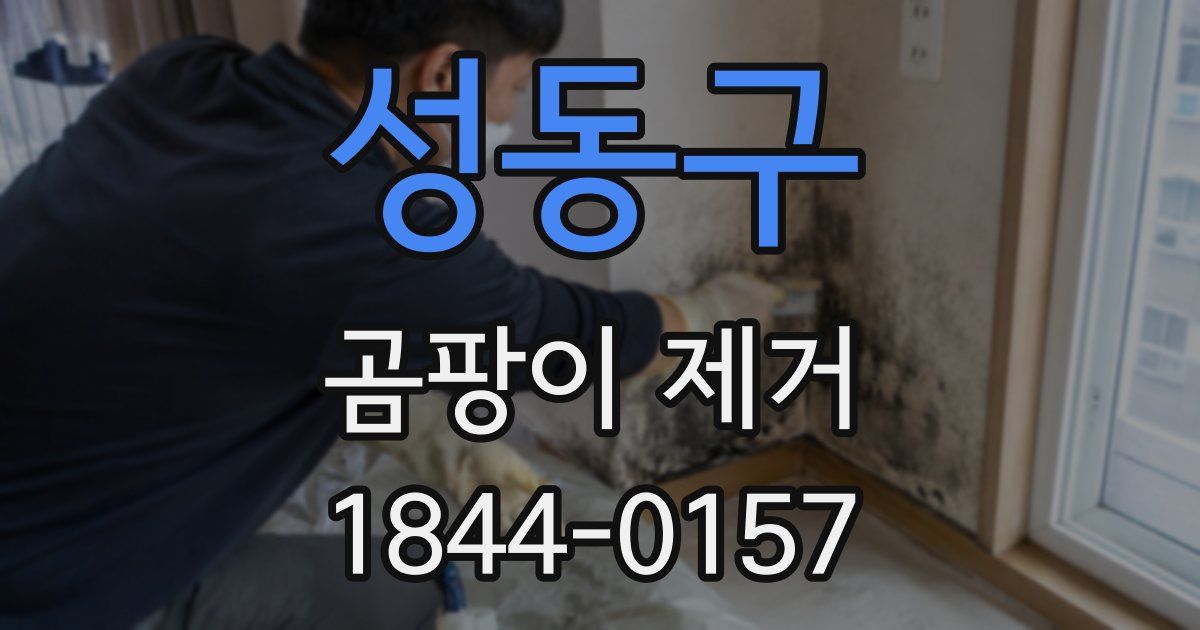 성동구 곰팡이 제거
