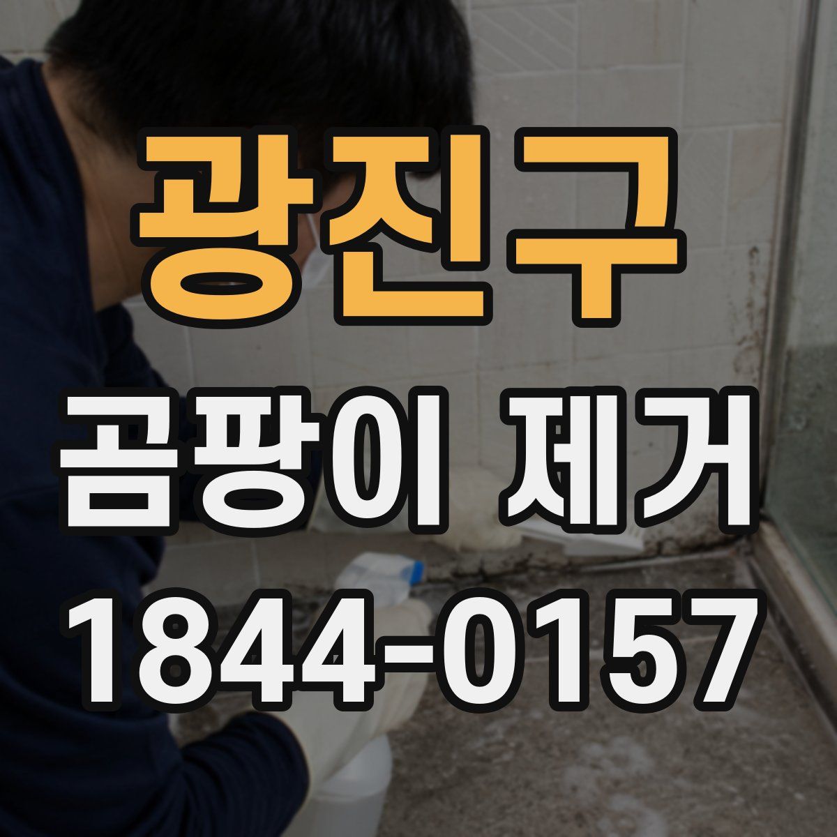 광진구 곰팡이 제거