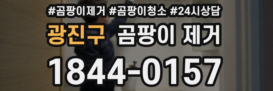 광진구 곰팡이 제거