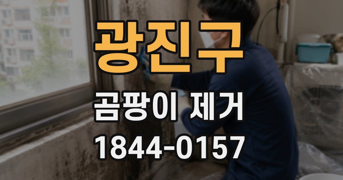 광진구 곰팡이 제거