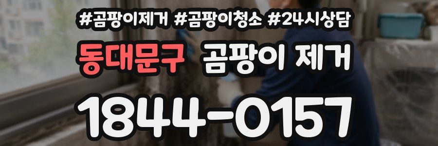 동대문구 곰팡이 제거
