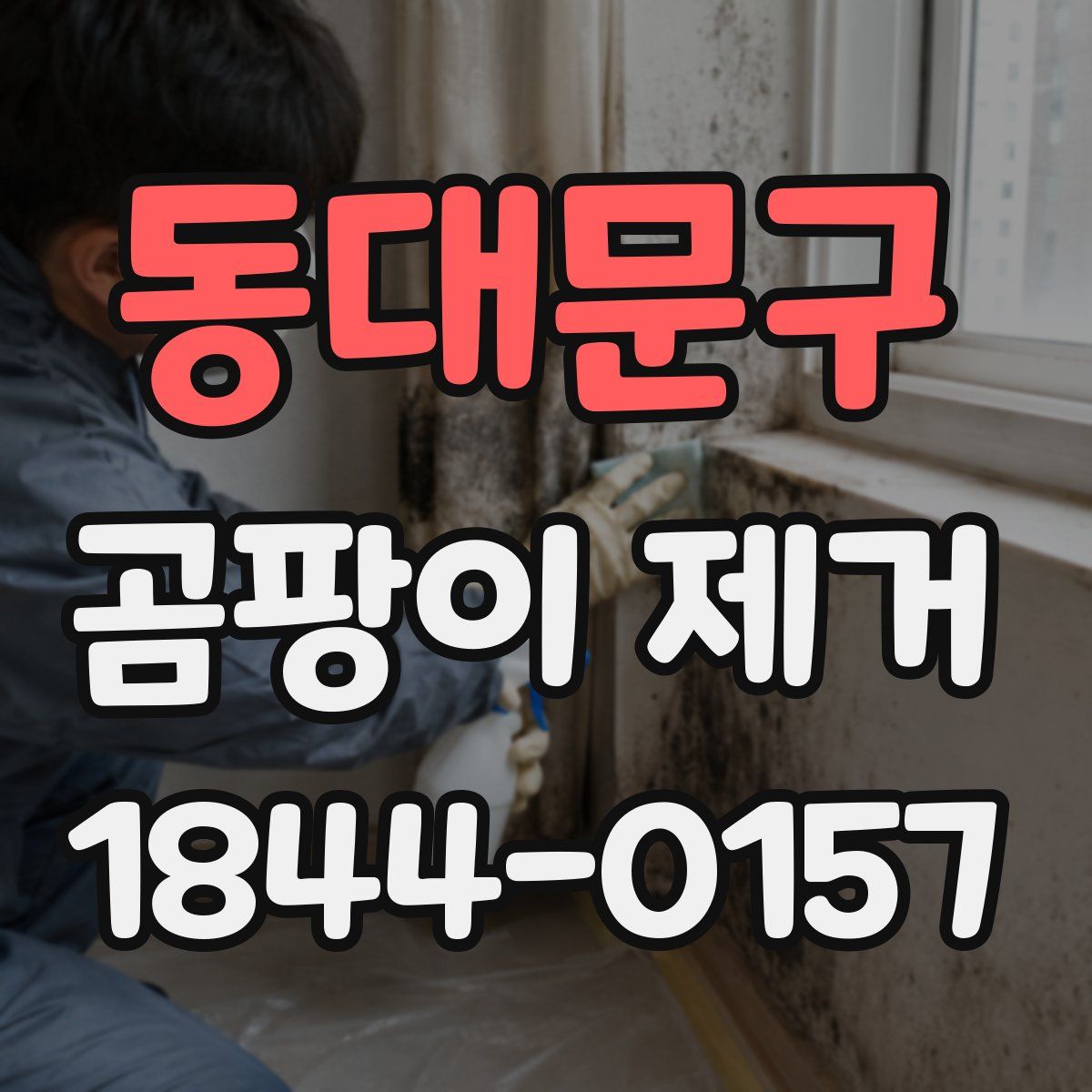 동대문구 곰팡이 제거