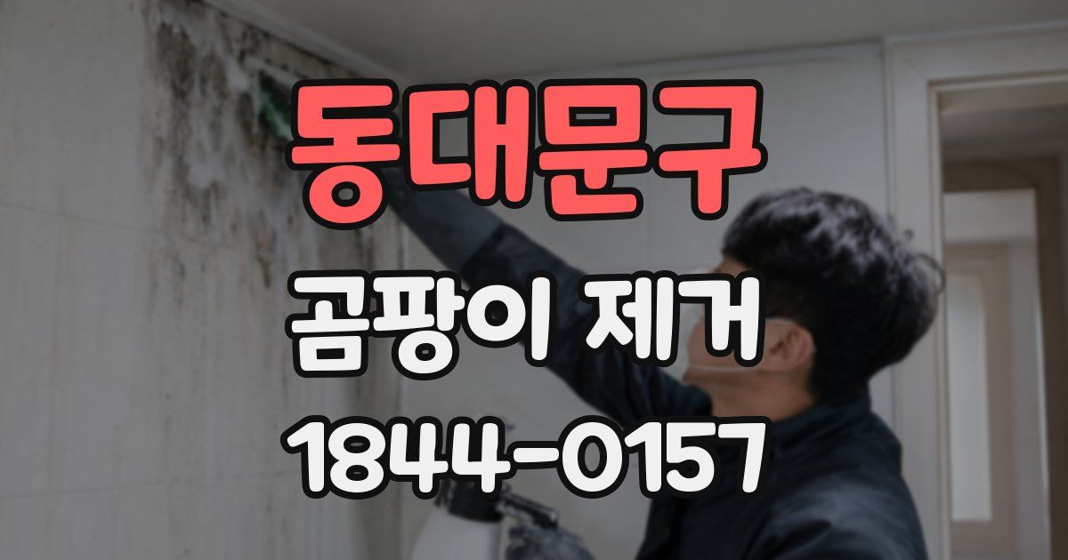 동대문구 곰팡이 제거