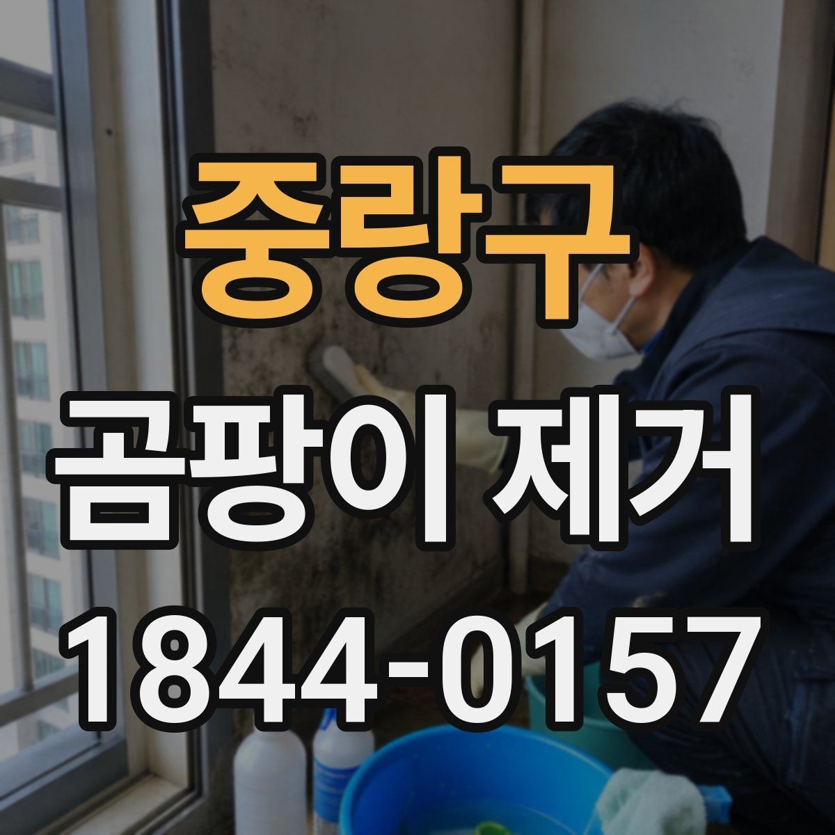 중랑구 곰팡이 제거 원룸 주거 환경에 맞는 재발 예방